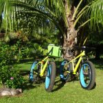 Ballade à vélo sur Taravao en location saisonnière