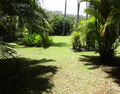 image de la propriété