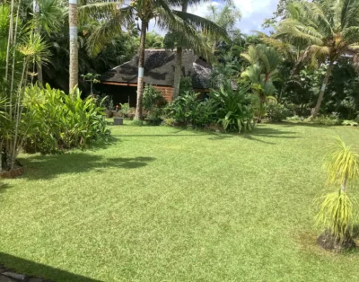 ManaArii – Grand bungalow tropical