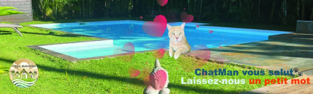 Bungalow de charme à la Villa Manohara Tahiti avec piscine dans un jardin tropical